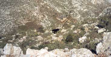 ������� �� ����� 