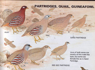 ������� 3