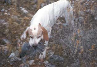 E�������� �����