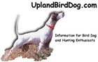     uplandbirddog.com