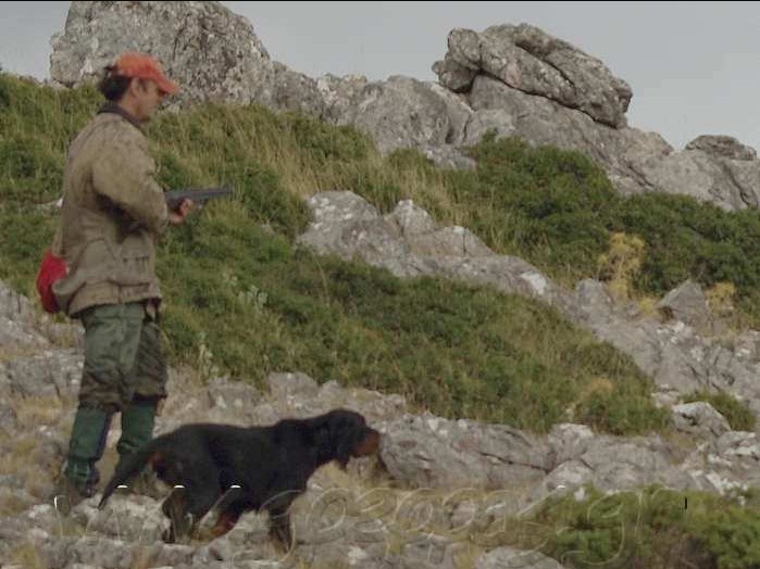  �� ������ ! 