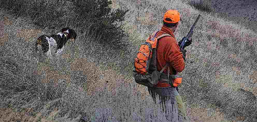  �� ������ ! 