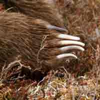 �� ����� ��� � ������ �������� ��������  !!
