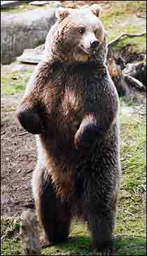 �' ��� �� �������� ��� !!
