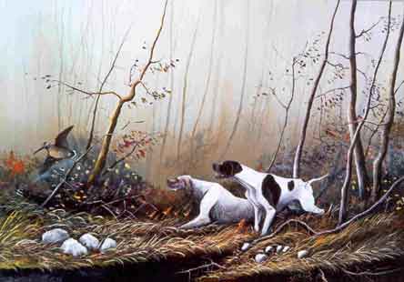 Hunting   woodcock !