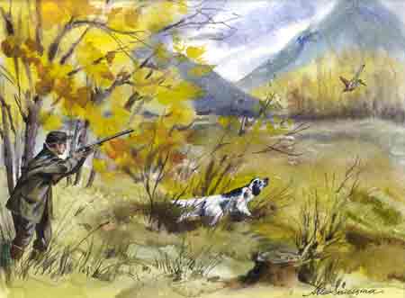 woodcock hunting - A Serioskina!