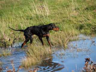 ���� ����� 6 �����