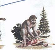 � �������� ��� �����������