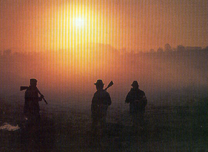 �������� ��� ����