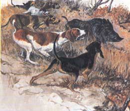 ������ ��������������