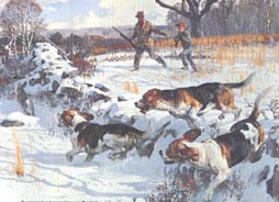 ������ �����