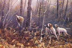 ������ ���������