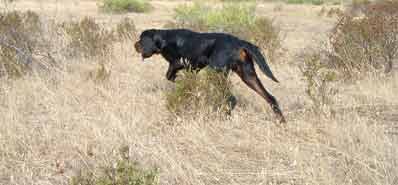 �� 7 ������ ��� ��������  !