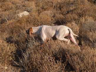 ���������� ���� ������ !