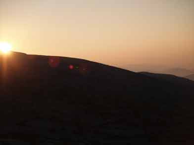 ���������� Alectoris Graeca , �� �������� !