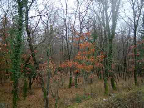 ������������ ��� ������� !