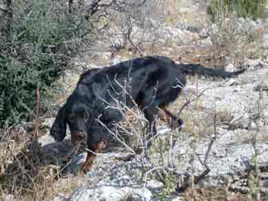 Aoos 7 ����� 