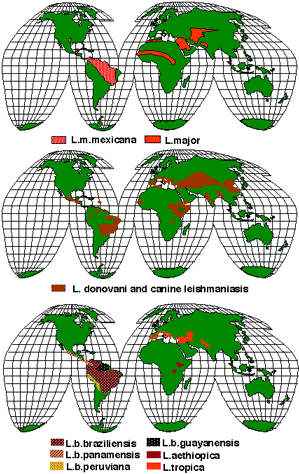 � �������� ��� �������� !