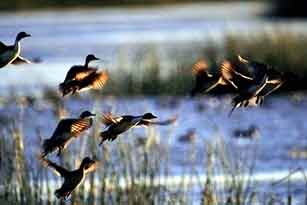 To ������ ��� �������� ��������� ���� ������ ���������