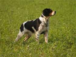 � ��������� ��� ��������
