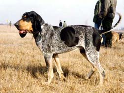 ������ ���� ��� ��������