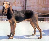 I������ ����������