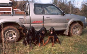 ����, ����, ������, �������