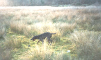 � ���� �� ����� ������������