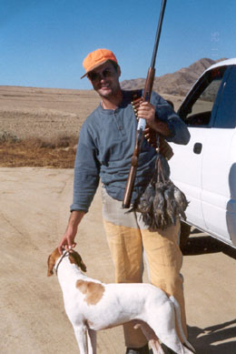 � ����� �� Gambel's Quail 