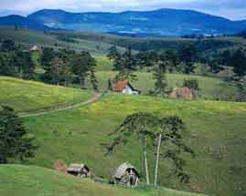 ������ �����