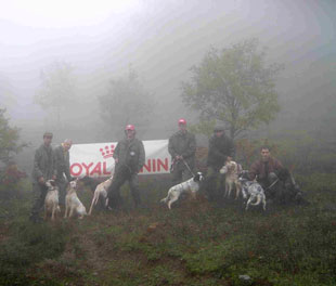 ��� ��������� �������� �� ��������