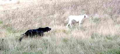 ��� �� ������� 