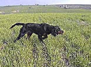 ��� �� ������� 