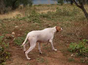  ������ ����� �� ���� !