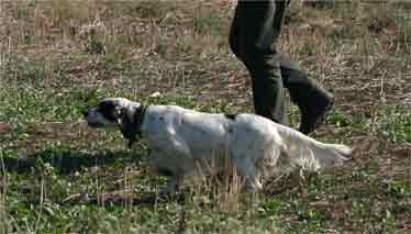  2�� Ecc.RCACT.RCACIT. Rapak Genesis Plouton E.S. ������� ����������� <br>
