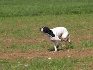 8�� Ecc Hellenik Mario Poin. �������� �������� <br>
