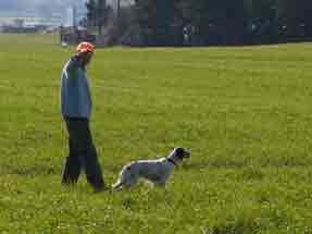 1�� ���������
RALOU - ������� �������� 