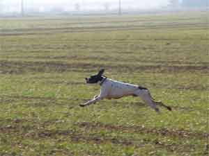 ��������� ����� ������ ������� ! 