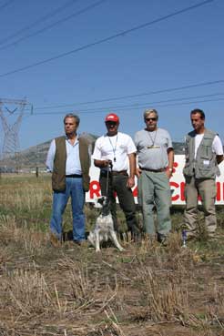 1�� ���������  Rapakoulias Genesis Plouton   (�������- �����������)