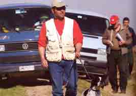 �������������, Gigolo