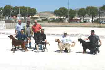 �� �������� ���� ����� 