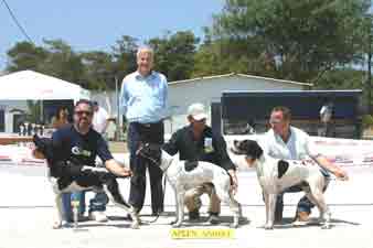 ��������� ������� 