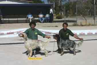 N��� ��������� 