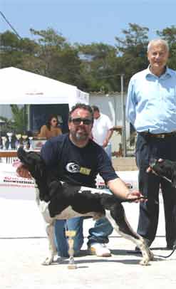 �������� �����  FOX