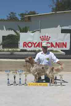 �������� ����� ������