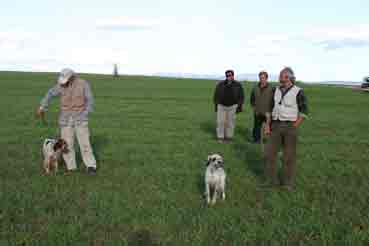 ������ Shine-Gein