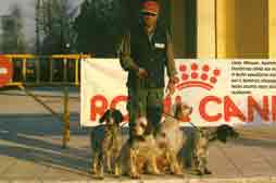 ����������� ��� �� ������ ��� 