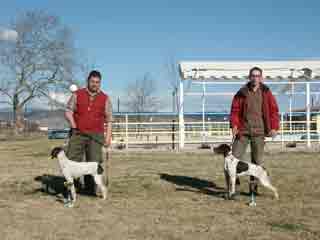 ������������ - �����������