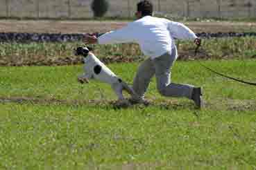 Zar ��������