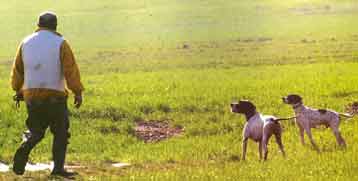 O ������ & � ��������� ������� !